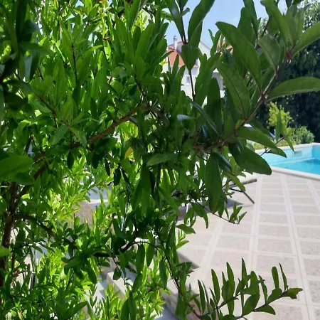 Vodice Guesthouse Guest house Vodice